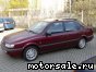 Volkswagen (VW) () Passat III, IV (3A2, 35I):  6