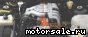 Opel () C40SE:  1