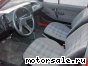 Volkswagen (VW) () Polo II Coupe (86C, 80):  5
