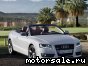Audi () A5 I Cabriolet (8F7):  4