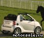 Smart () Fortwo II Cabrio:  3