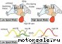 MMC Mitsubishi () 4G69 (MIVEC):  3