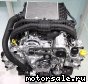 Subaru () FB16 Direct Injection Turbo:  2