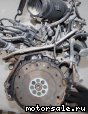 Isuzu () 4XC1-TE:  2