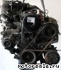 Isuzu () 4XC1-T:  1