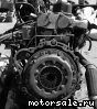 SsangYong () XD3P:  3