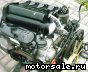 Mercedes Benz () 611.981 CDI (611981):  1