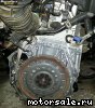 Honda () K24Z6:  2