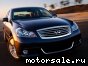 Infiniti () M45 (Y50):  1