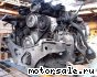 Porsche () M96.03 911 IV Carrera 3.6 (996):  2