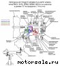      M4TA, S4TA, SDMA, MDMA, MDLA:  6