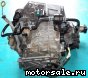 Honda () Odyssey (RB2), MFLA:  5