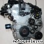 Daewoo () X25D1:  3