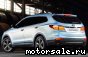 Hyundai () Grand Santa Fe (NC):  4