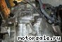 Opel () Vectra B (50-40LN AF22 TC, YF, YT):  2
