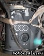Audi (Ауди) ADR: фото №5