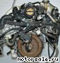 Ford () 3,4l. V8 SHO (Duratec 25):  3