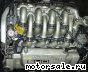 Ford () 3,4l. V8 SHO (Duratec 25):  6