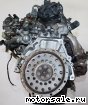 Honda () D15B, D15Z (VTEC):  5