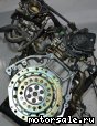 Honda () D15B, D15Z (VTEC):  11