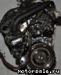Volkswagen (VW) () CHPA, CPTA:  2