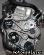 Volkswagen (VW) () CAVE, CTHE:  1