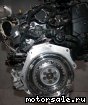 Volkswagen (VW) () CAVE, CTHE:  2
