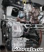 Volkswagen (VW) () CAVE, CTHE:  3