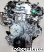 MMC Mitsubishi () 4M41-T:  7