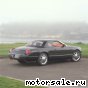 Ford () Thunderbird Concept:  3