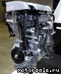 Toyota () 2NR-FKE:  1