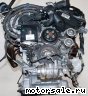 Toyota () 3GR-FSE:  5