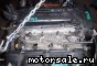Toyota () 4A-GE (20 VALVE, BLACK TOP):  2
