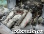 HINO () F20C:  7