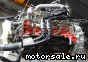 HINO () P11C-PT:  8