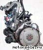 Volkswagen (VW) () AET, APL, AVT:  2