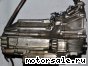 Honda () Legend (KA9), M5DA:  4