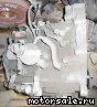Honda () Avancier (TA4):  4