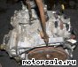 Honda () Stream (RN8), MWWA:  5