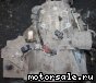 Nissan () Bluebird (QU14), Primera (P11):  5