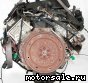 Ford () 4.6l, InTech, Modular DOHC V8 (Explorer), 4V:  5