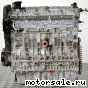 Volvo () B5254T11:  3
