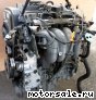 Volvo () B4164S:  1