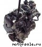 Volvo () D5204T:  1