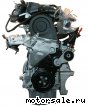 Seat () BGU, BSE, BSF, CCSA, CMXA:  1