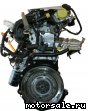 Seat () BGU, BSE, BSF, CCSA, CMXA:  2