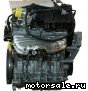 Seat () BGU, BSE, BSF, CCSA, CMXA:  3