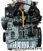 Seat () BGU, BSE, BSF, CCSA, CMXA:  4