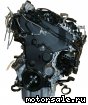 Audi () CUVC CUVD CUV:  1