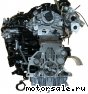 Audi () CUVC CUVD CUV:  2